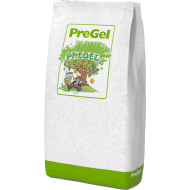 pregel_zacsk