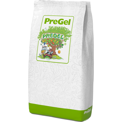 pregel_zacsk