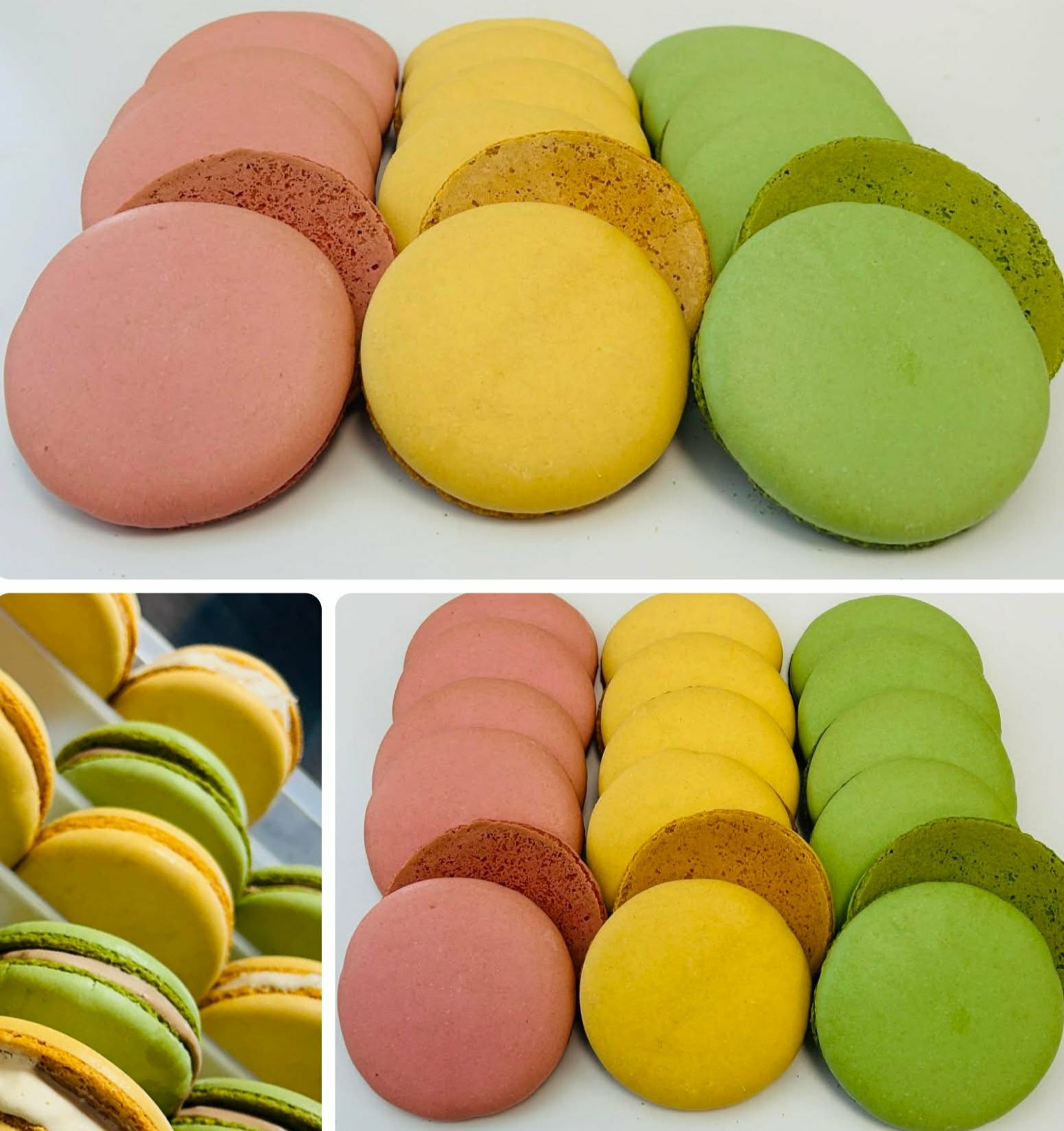 IceMan Macaron Gelato 90 db (45 pár)